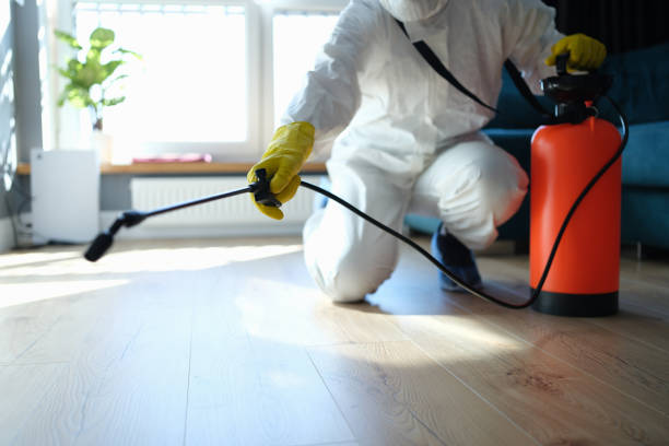 Best Flea Control Services  in Monticello, GA