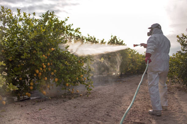 Monticello, GA Pest Control Company