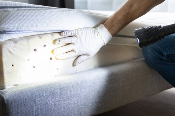 Best Cockroach Control Services  in Monticello, GA